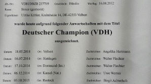 VDH-Sieger Urkunde